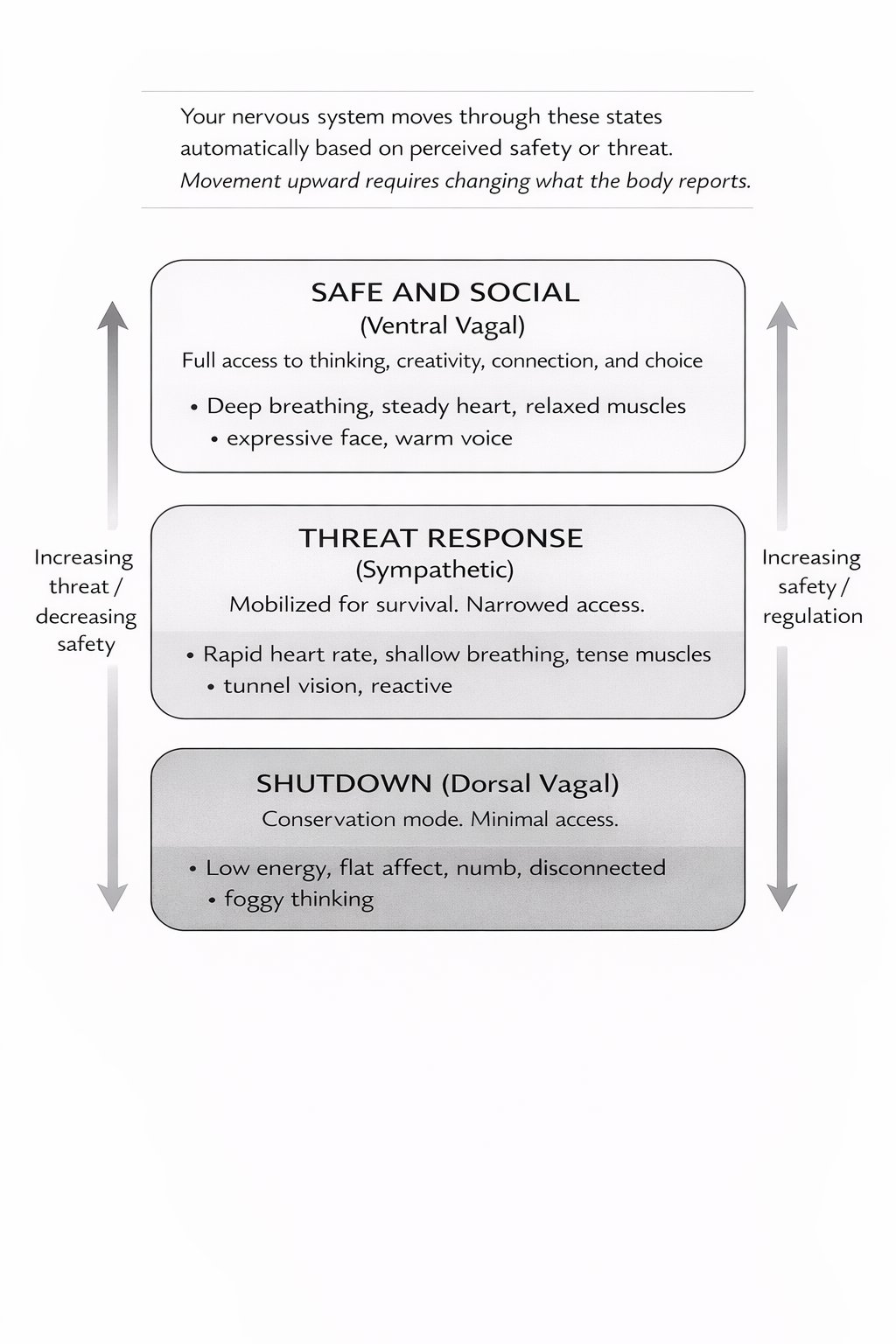 Diagram of the Safe and Social, Threat Response, and Shutdown nervous system states